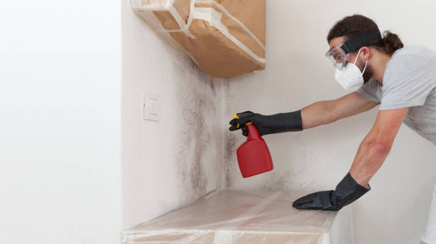 Professional Commercial Mold Remediation technician working in Bethpage, NY